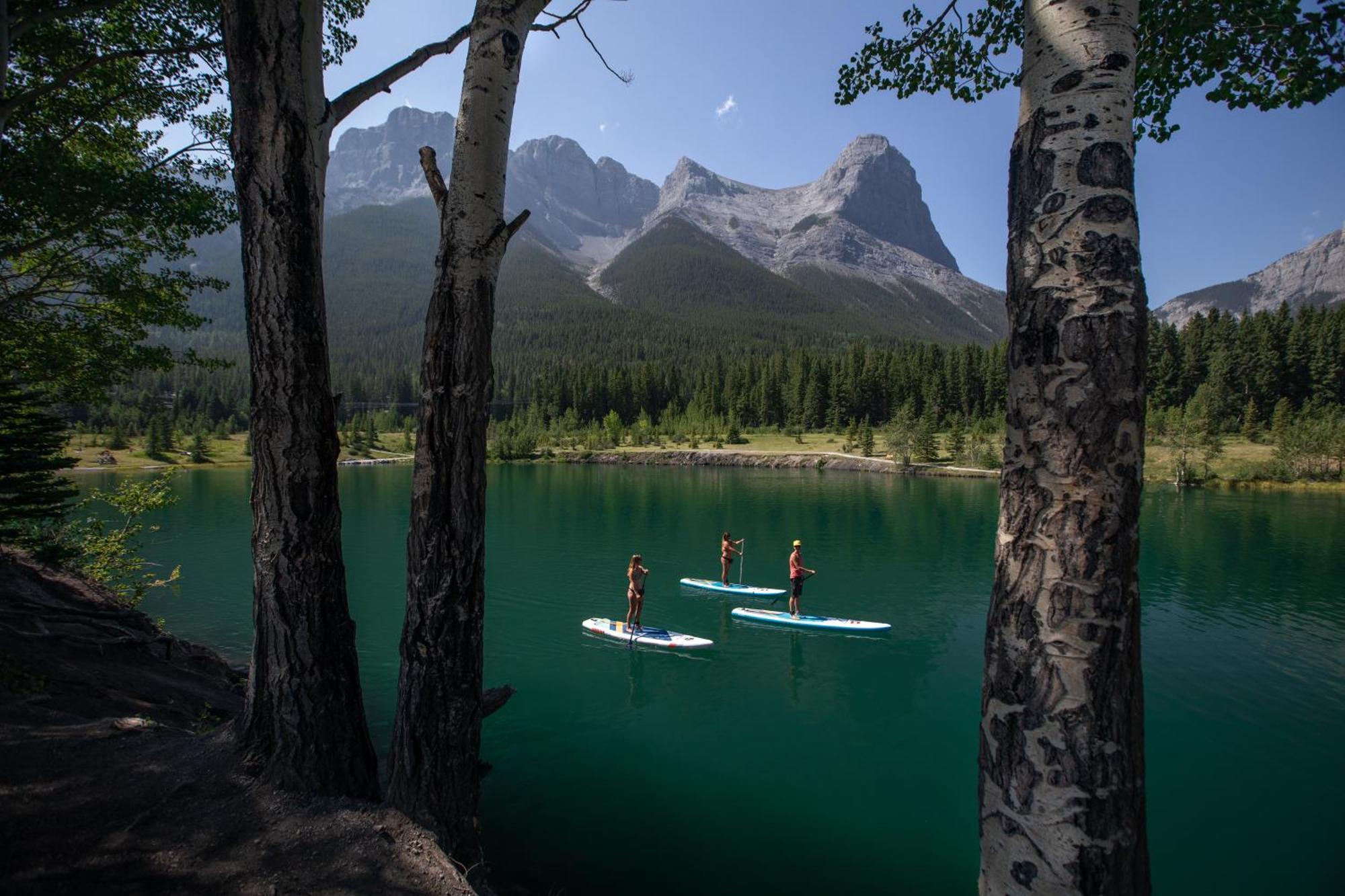 A Bear And Bison Country Inn Canmore Bagian luar foto
