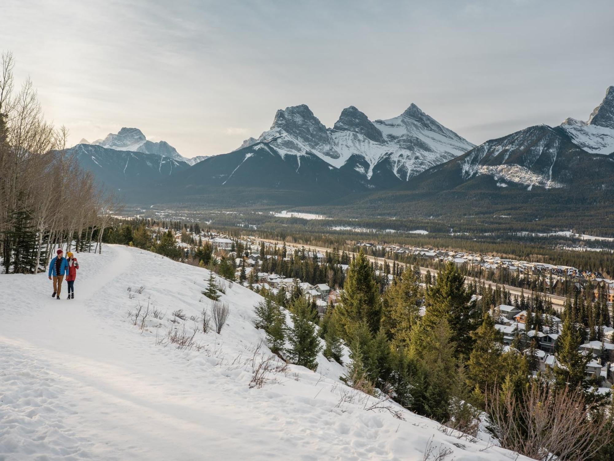 A Bear And Bison Country Inn Canmore Bagian luar foto