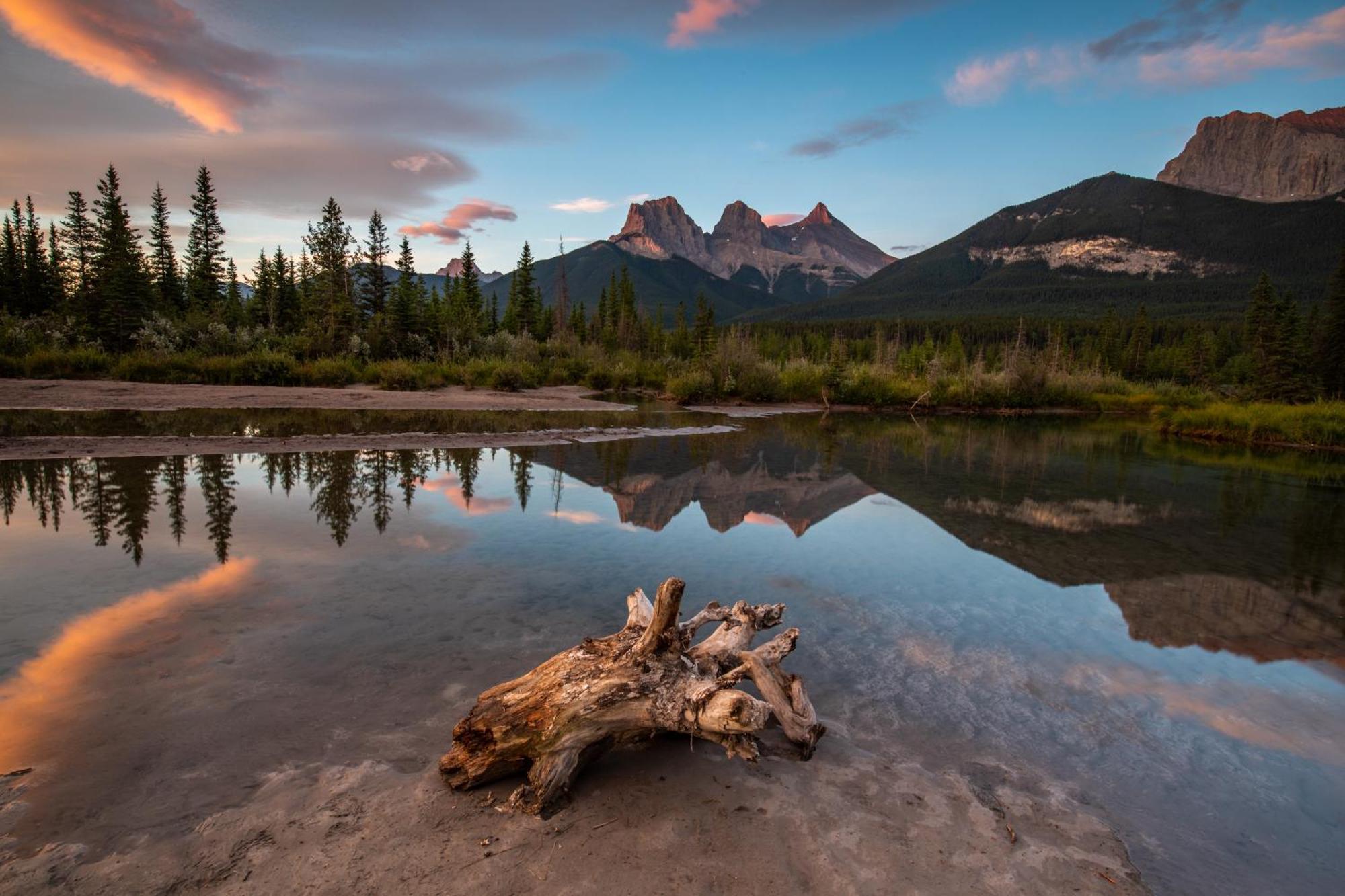 A Bear And Bison Country Inn Canmore Bagian luar foto