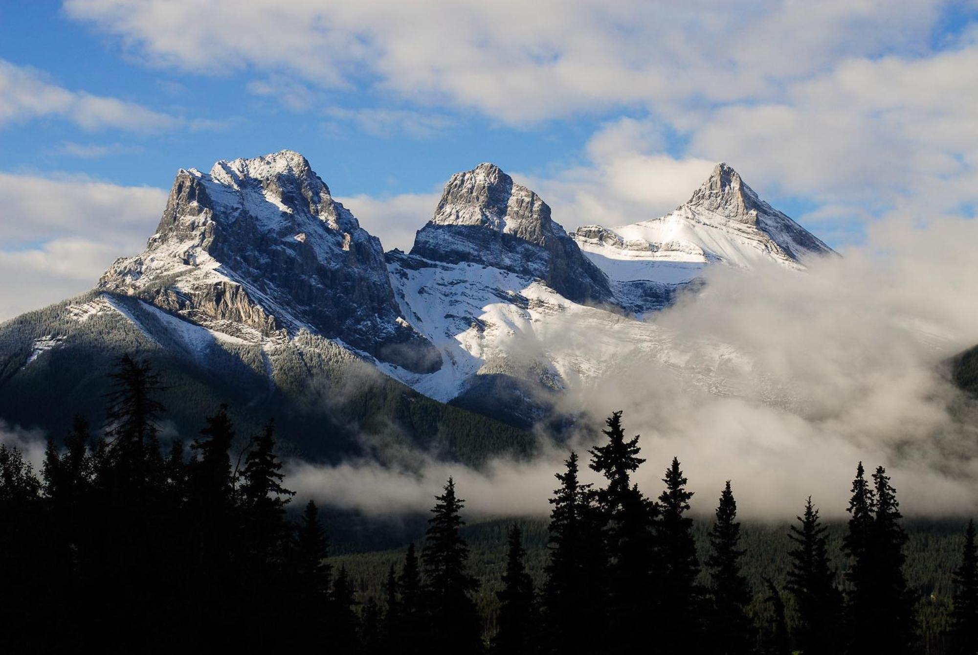 A Bear And Bison Country Inn Canmore Bagian luar foto